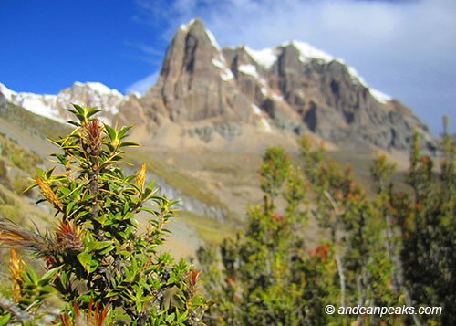 Andean Peaks