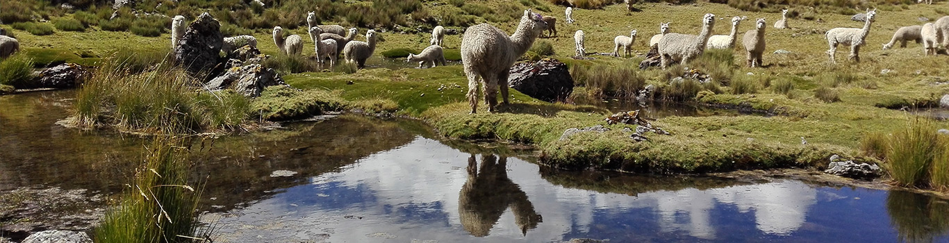 Trekking Huayhuash