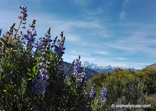 Andean Peaks