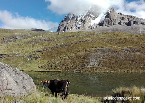 Andean Peaks