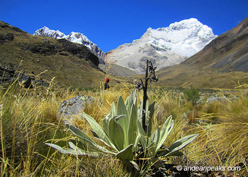 Andean Peaks