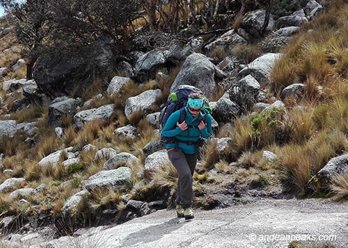 Andean Peaks