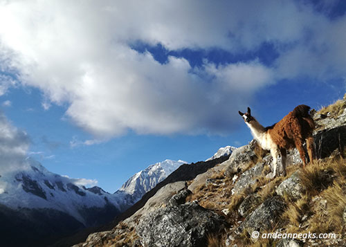 Andean Peaks