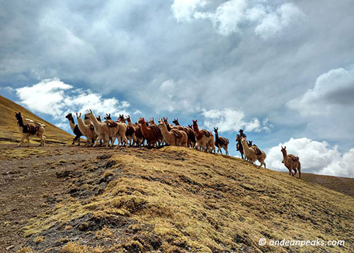 Andean Peaks