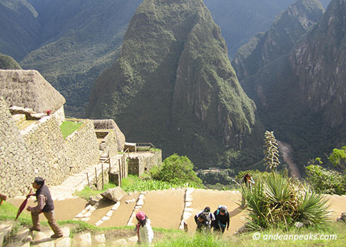 Andean Peaks