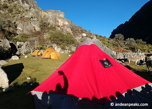 Andean Peaks