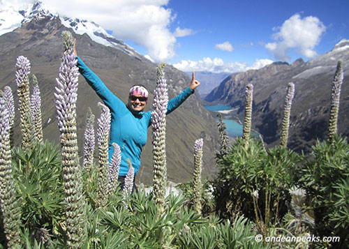 Andean Peaks