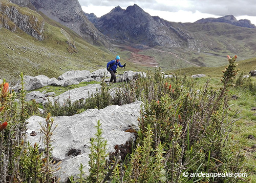 Andean Peaks