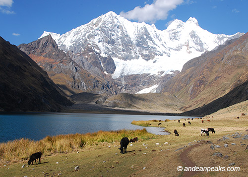 Andean Peaks