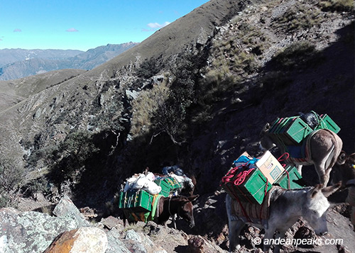 Andean Peaks