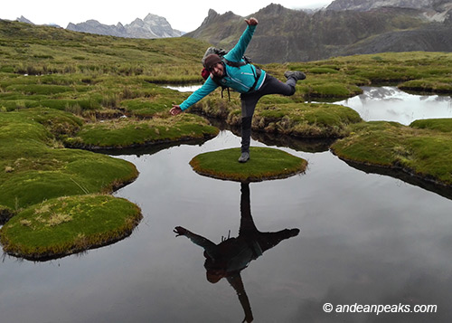 Andean Peaks