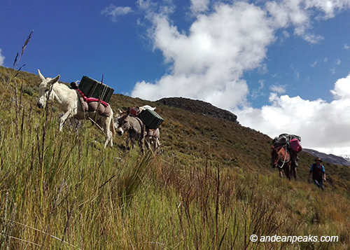 Andean Peaks