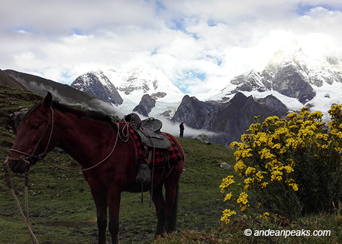 Andean Peaks